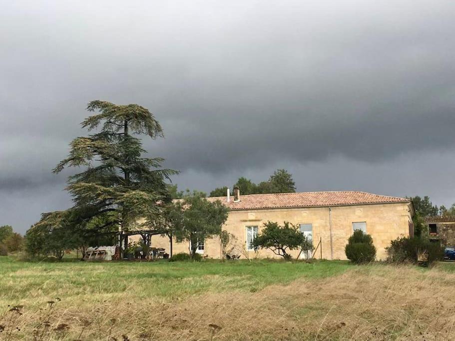 Beau Gite Dans Domaine Viticole & Arboricole Cursan エクステリア 写真
