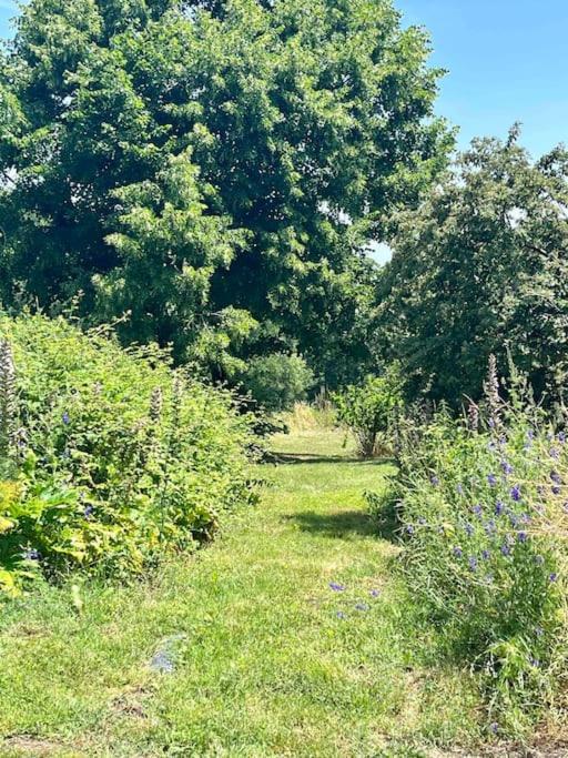 Beau Gite Dans Domaine Viticole & Arboricole Cursan エクステリア 写真